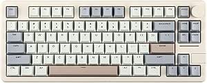 61G5810PeML.__AC_SX300_SY300_QL70_ML2_ EPOMAKER Galaxy70 Wireless Gaming Keyboard review 75% Compact Aluminum Design with RGB and Hot Swappable Keys