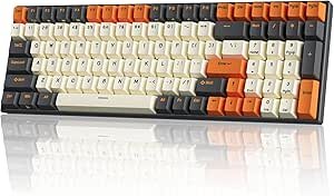 713MMRAIaUL.__AC_SX300_SY300_QL70_ML2_ RK Royal Kludge RK100 Wireless Mechanical Keyboard Review RGB Hot-Swappable Gaming Keyboard Features Tested