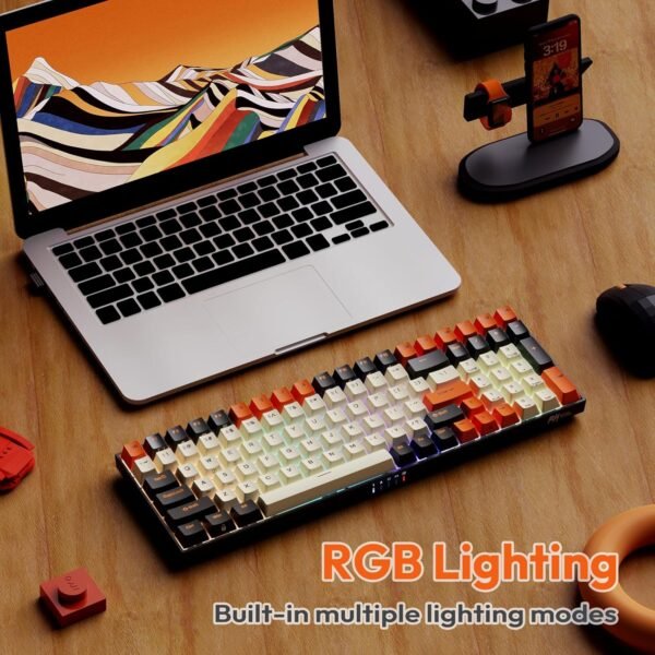 81EDruabtL._AC_SL1500_ RK Royal Kludge RK100 Wireless Mechanical Keyboard Review RGB Hot-Swappable Gaming Keyboard Features Tested