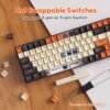 81EV47kUcpL._AC_SL1500_ RK Royal Kludge RK100 Wireless Mechanical Keyboard Review RGB Hot-Swappable Gaming Keyboard Features Tested